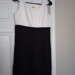 Elegant Black and White Midi Dress